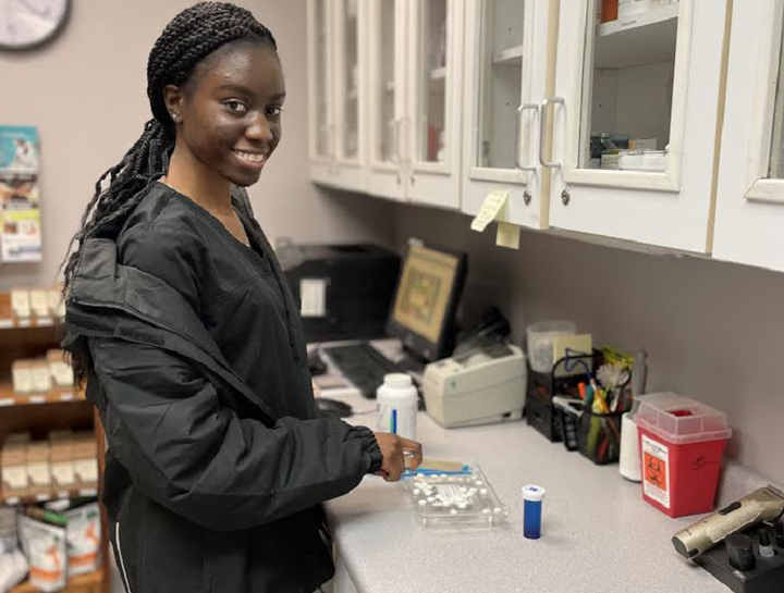 Pet Prescriptions East Hartford Pet Pharmacy